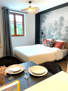 L'Adresse Studio Rempart sud - centre historique Eguisheim